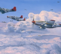 FIGHTING RED TAILS