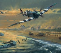 JUNO BEACH  <em> The D-Day 65th Anniversary Portfolio</em>