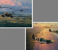 WINGS OVER NORMANDY PORTFOLIO <br> Skytrain to Normandy & Ace over Normandy