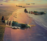 ACE OVER NORMANDY