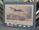 Matted Dambuster Pieces
