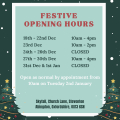 Festive Opening Times 2023