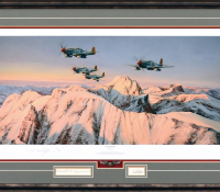 CHECKERTAILS - OUTBOUND ESCORT <br> Framed Collector's Piece